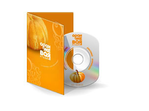 CD-визитка Креативное бюро «Оранжевая студия»